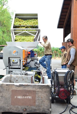 The crush pad is very close to the vineyard at Hafner and that is very helpful.