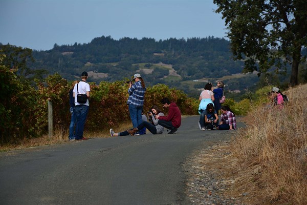 Vista at Hafner Vineyard in Alexander Valley