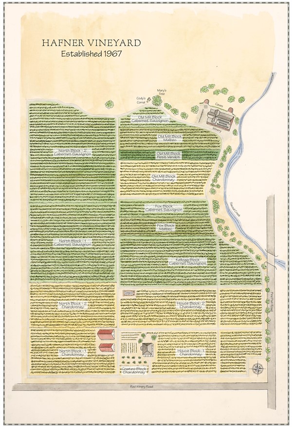 Vineyard Map Watercolor