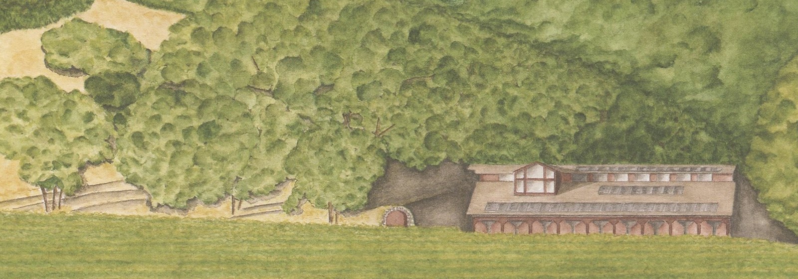Hafner Vineyard Watercolor