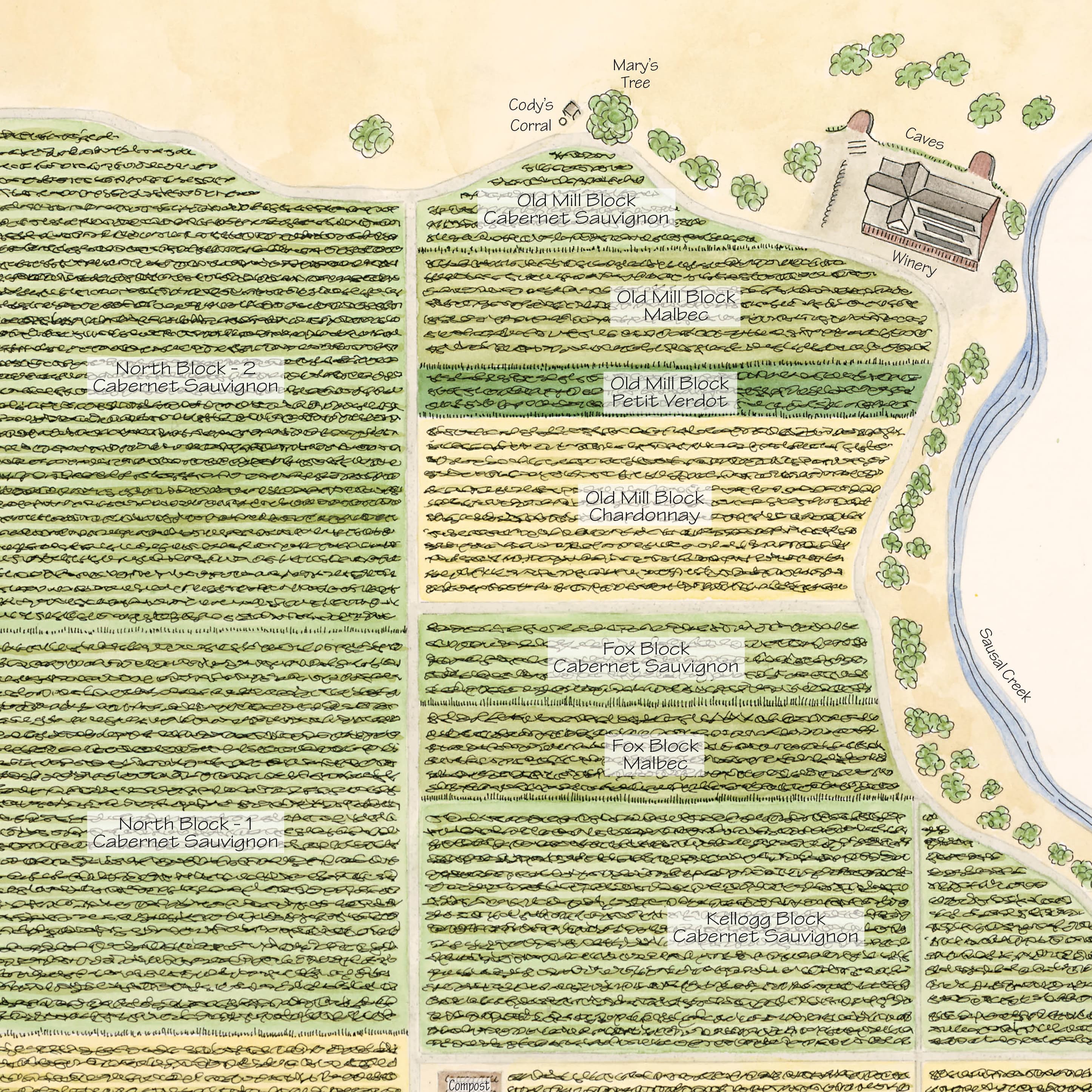 Watercolor Vineyard Map