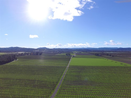 Block at Hafner Vineyard waiting to be planted