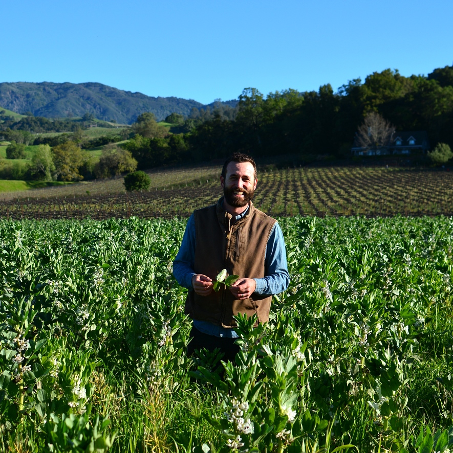 David Huebel explaining organic soil builder in the block that will be replanted.