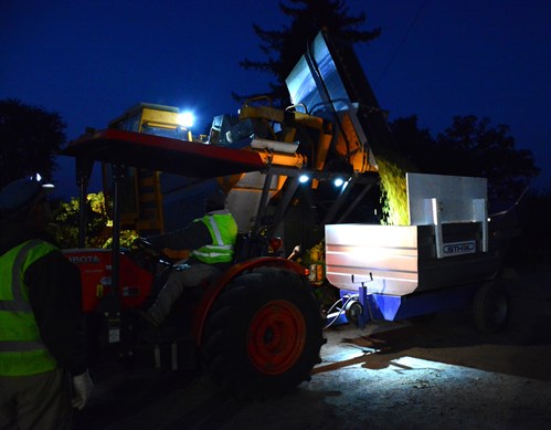 Night harvesting at Hafner Vineyard