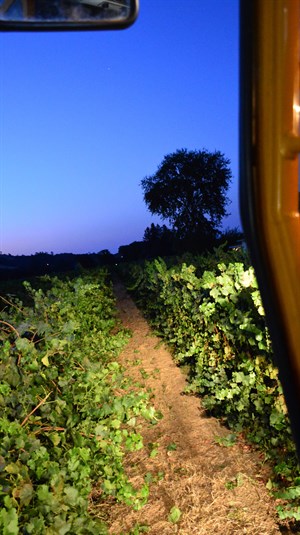 View from the Machine Harvester