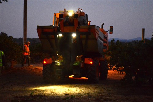 Pellenc Machine Harvester at Hafner