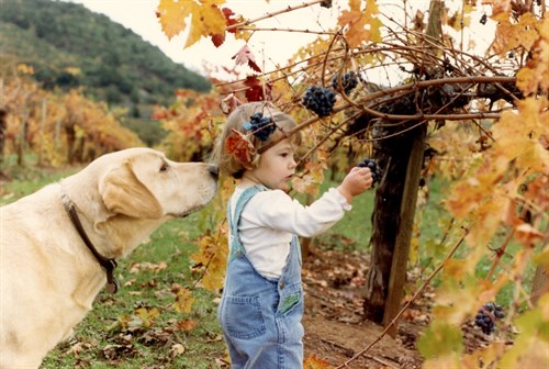 Kate and Alice Sampling Grapes