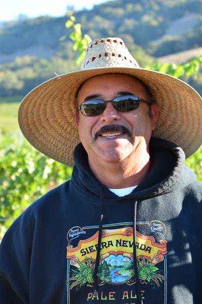 Martin leafing in the vineyard