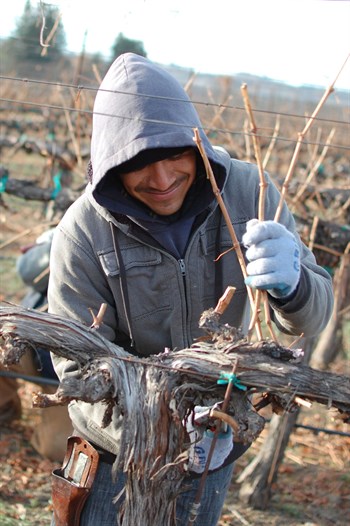 Benito Pruning