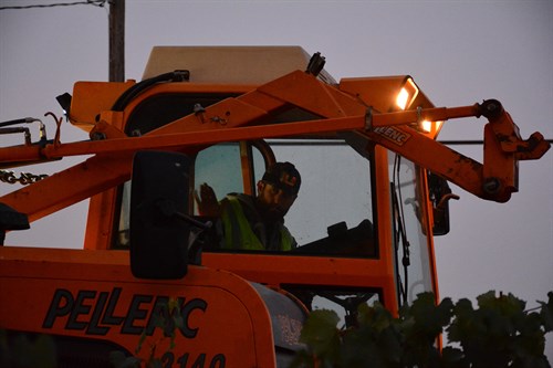 David Huebel driving the machine harvester