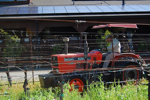 Jose Luis on Tractor