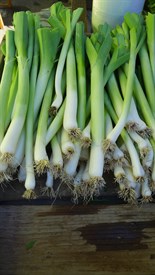 Leeks