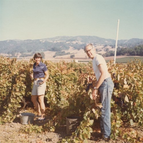 Harvest in 1974