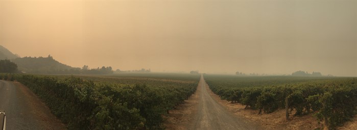 View of Alexander Valley from Hafner