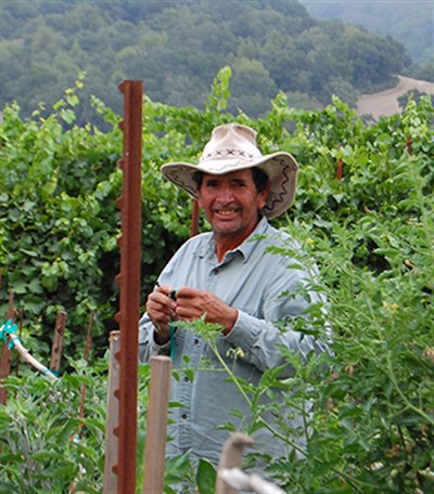 Chema in the Garden