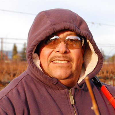 Antonio at Hafner Vineyard