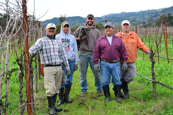 Hafner Vineyard Crew