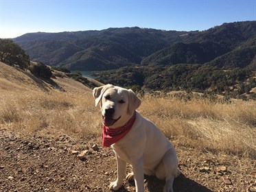 Hiking at Lake Sonoma