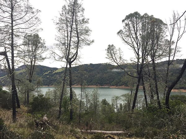 Lake Sonoma