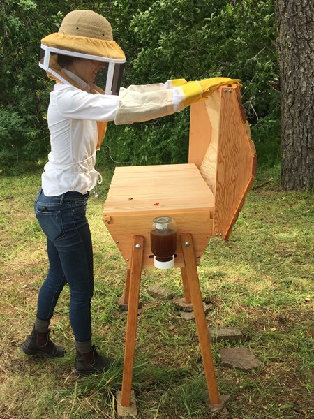 Opening Top-Bar Hive