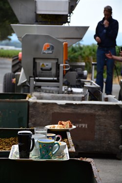 Lattes on the Crushpad