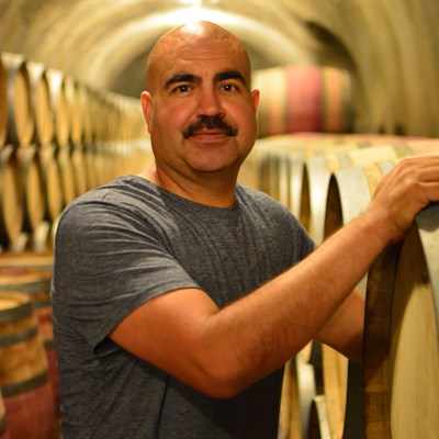 Ricardo at Hafner Vineyard