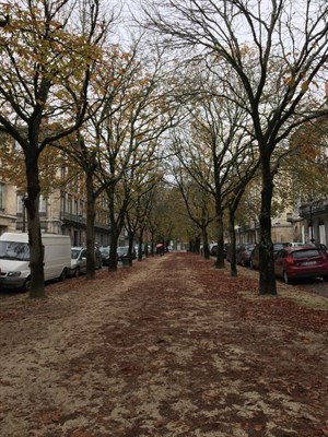 Chartrons in Bordeaux