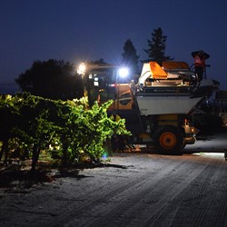 Night Harvest at Hafner