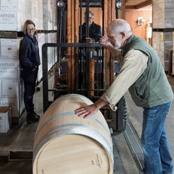 Cabernet Fermentation in Barrels