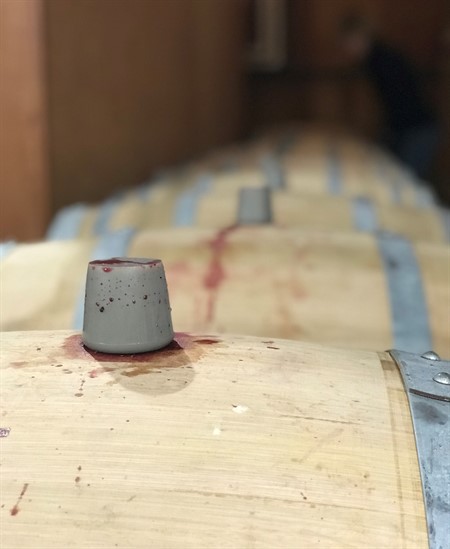 Cabernet Barrel Experiment