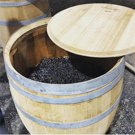 Fermenting Cabernet in Barrels