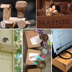 Hafner Vineyard Sustainability