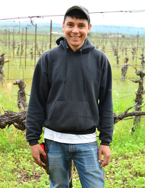 Javier at Hafner Vineyard