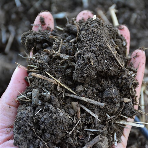 Hafner Vineyard Soil