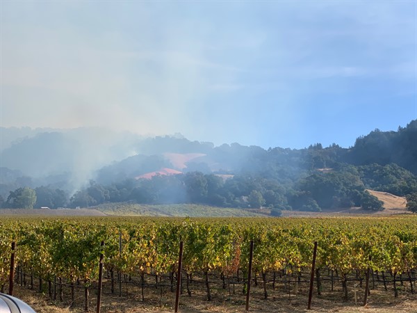 Smoke at Hafner Vineyard