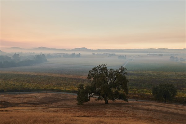 Hafner Vineyard Smoke