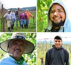 Vineyard Team Photography