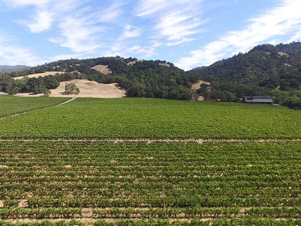 Hafner Vineyard in Alexander Valley