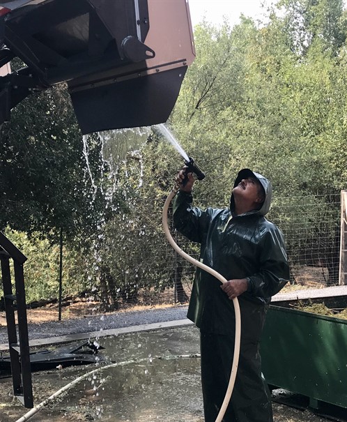 Gerardo Cleaning