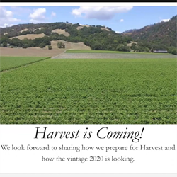 Harvest Zoom
