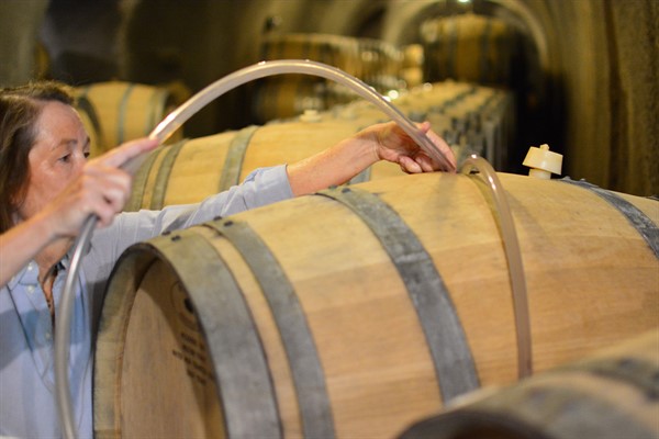 Sarah Monitoring Fermentation